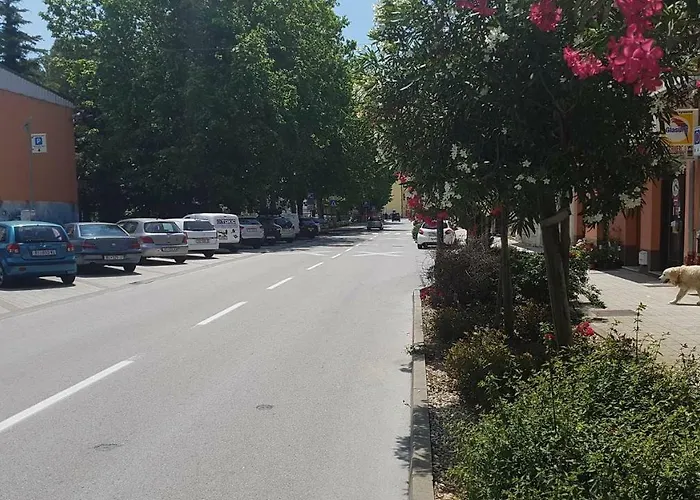 Apartmandamir Apartman Crikvenica